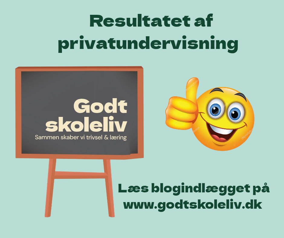 Udbyttet af privatundervisning, Godtskoleliv.dk,